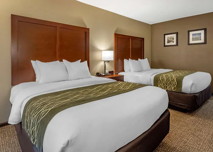 Hotel Comfort & South