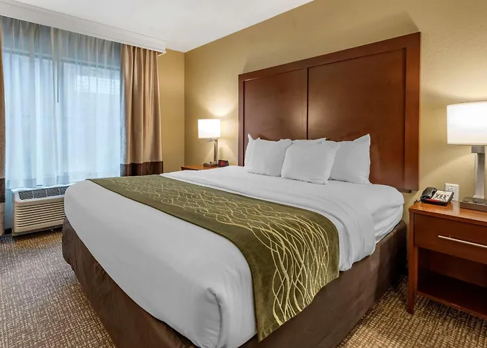 Comfort & South Hotel Pittsburgh