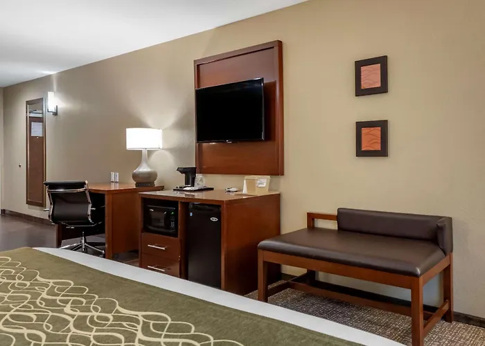 Comfort & South Hotel