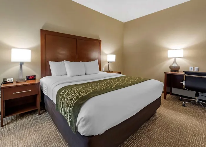 Hotel Comfort & South 4*