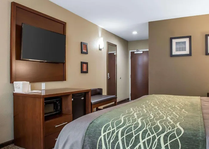 Comfort & South 4*