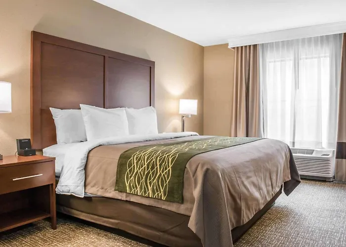 Comfort & South 4* Pittsburgh