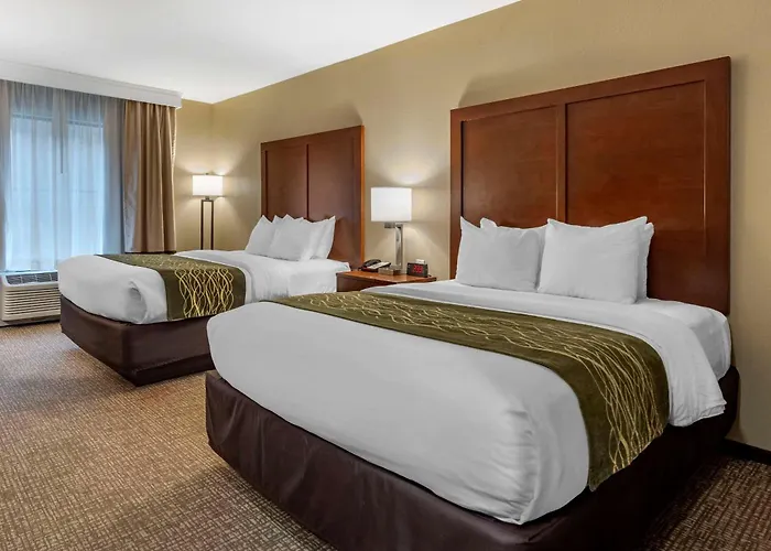 Hotel Comfort & South
