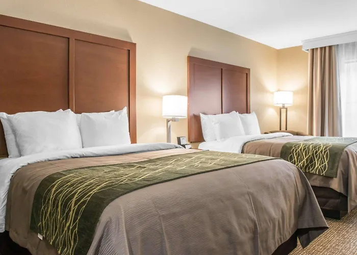 Hotel Comfort & South
