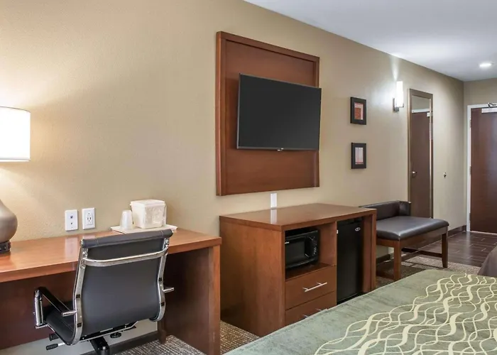 Comfort & South Hotel 4*