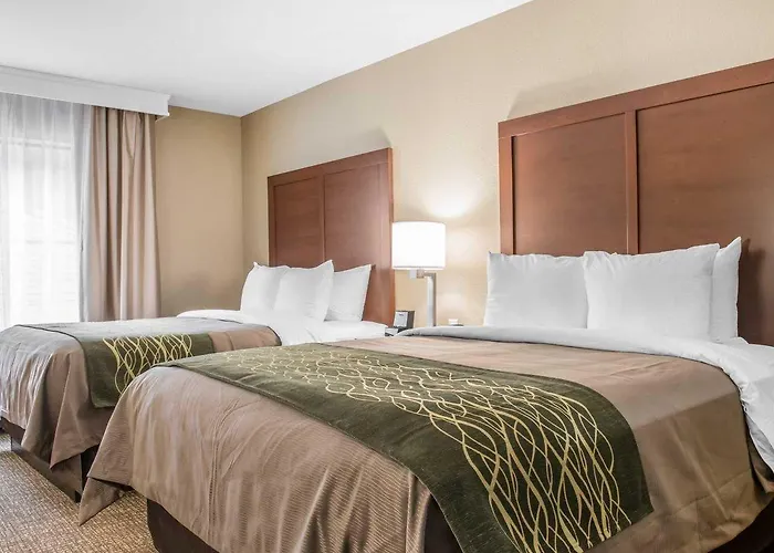 Comfort & South 4*