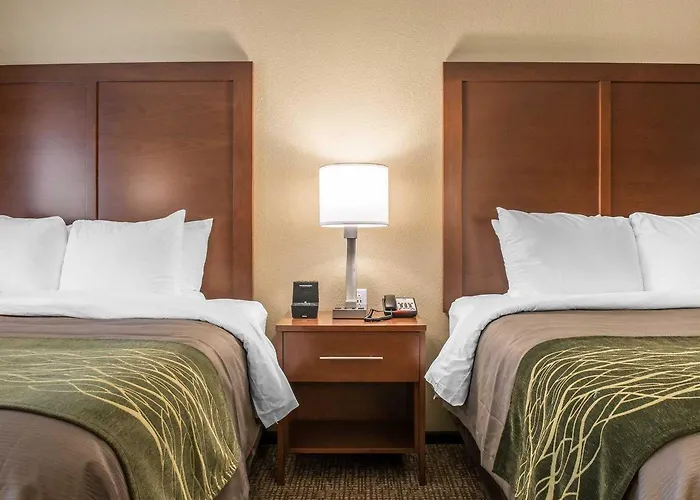 Comfort & South Hotel 4*