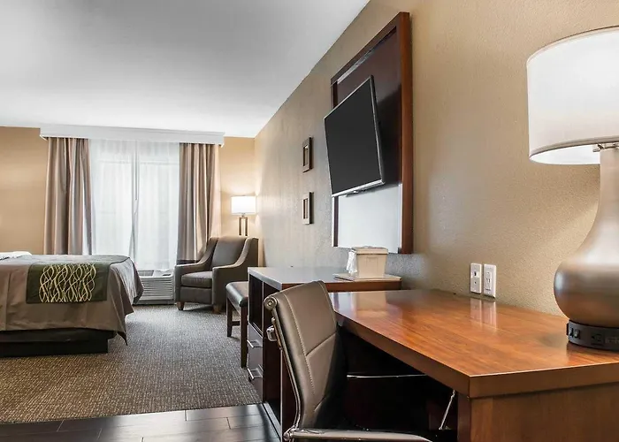 Comfort & South Hotel