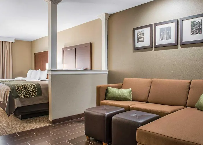 Hotel Comfort & South