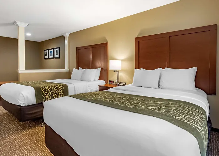 Comfort & South Hotel 4*