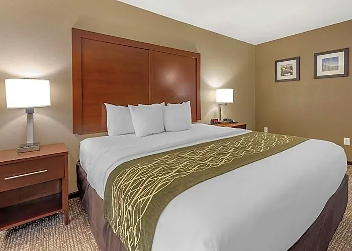 Hotel Comfort & South