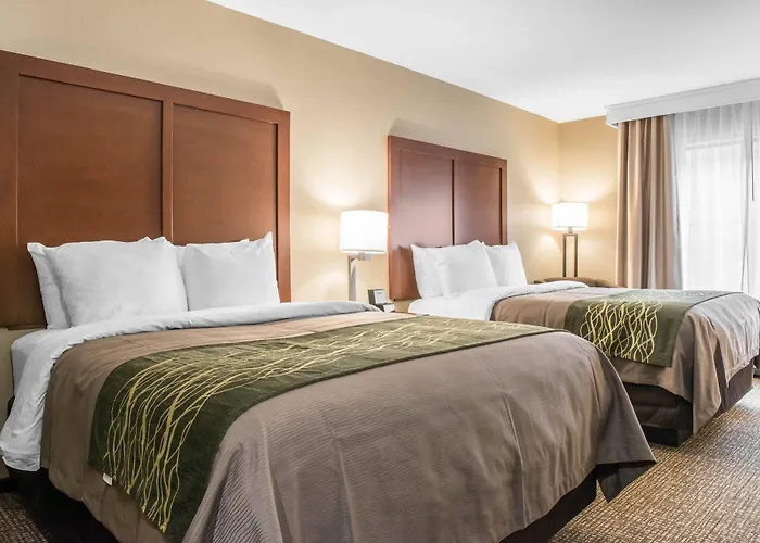 Comfort & South Hotel Pittsburgh