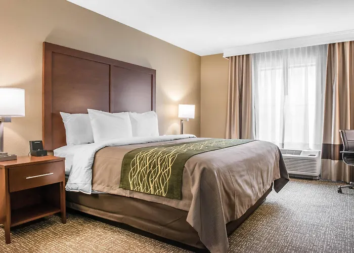 Comfort & South 4* Pittsburgh